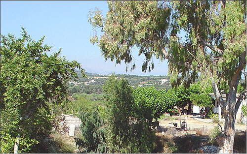 Blick in den Garten